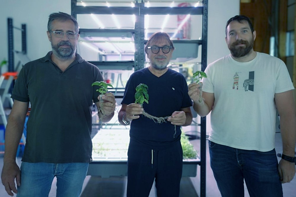 FRM, vantaggi e sfide del vertical farming