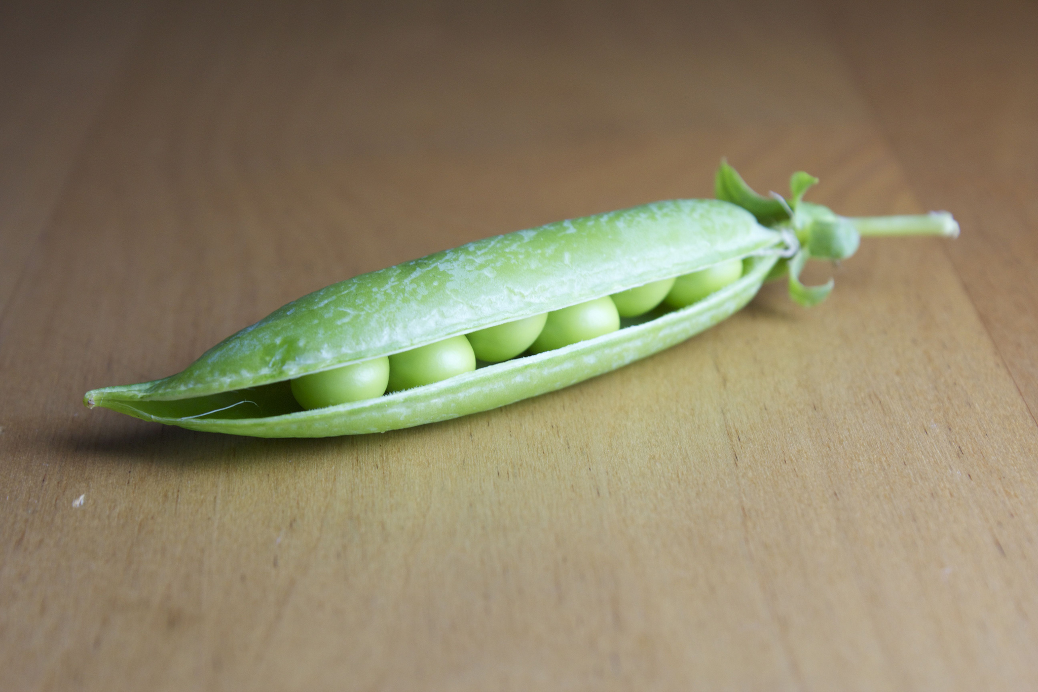 Seeds&Chips, palcoscenico internazionale dell’Internet of Food