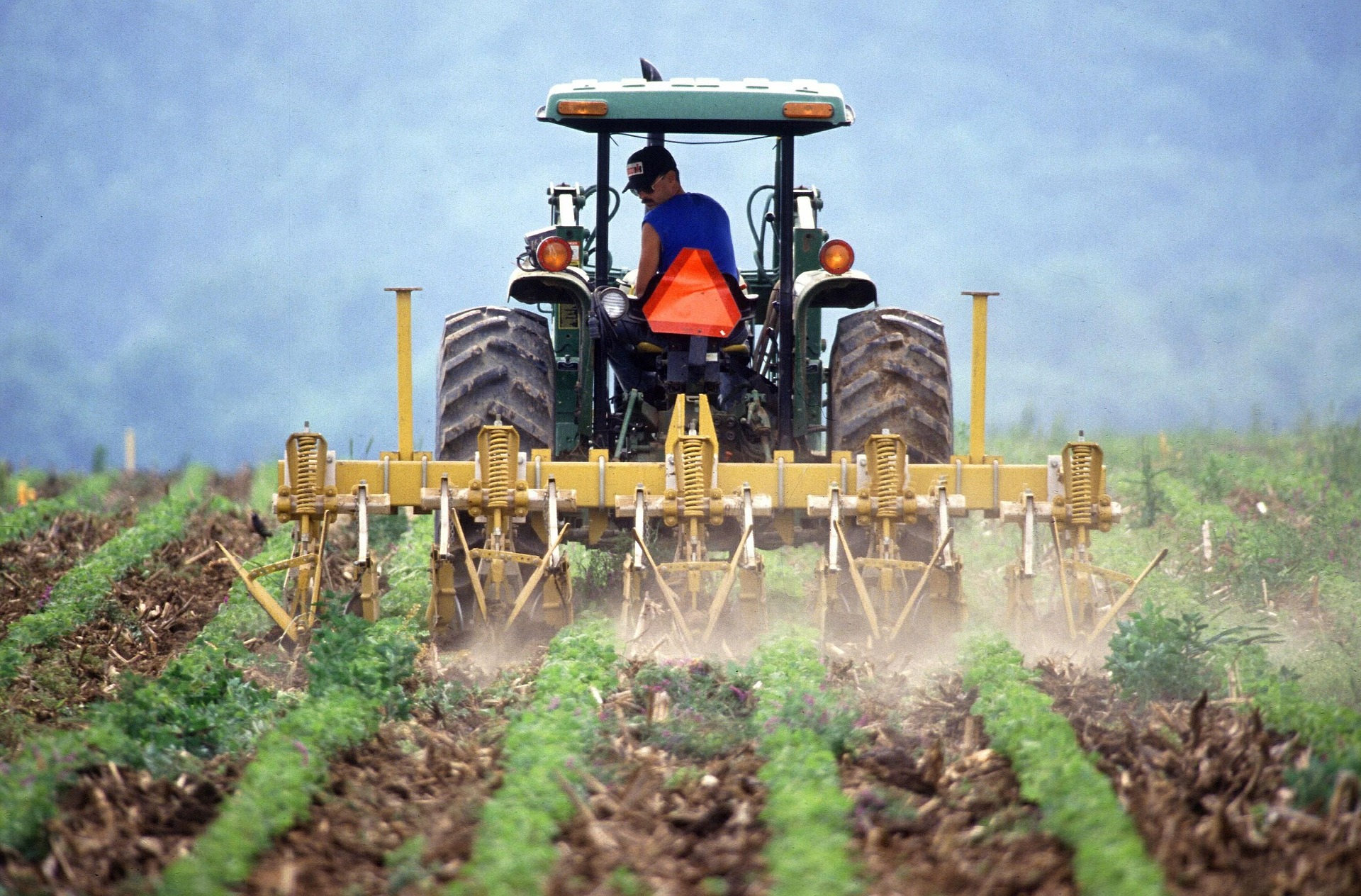 Semina, ecco il crowdfunding per il foodtech